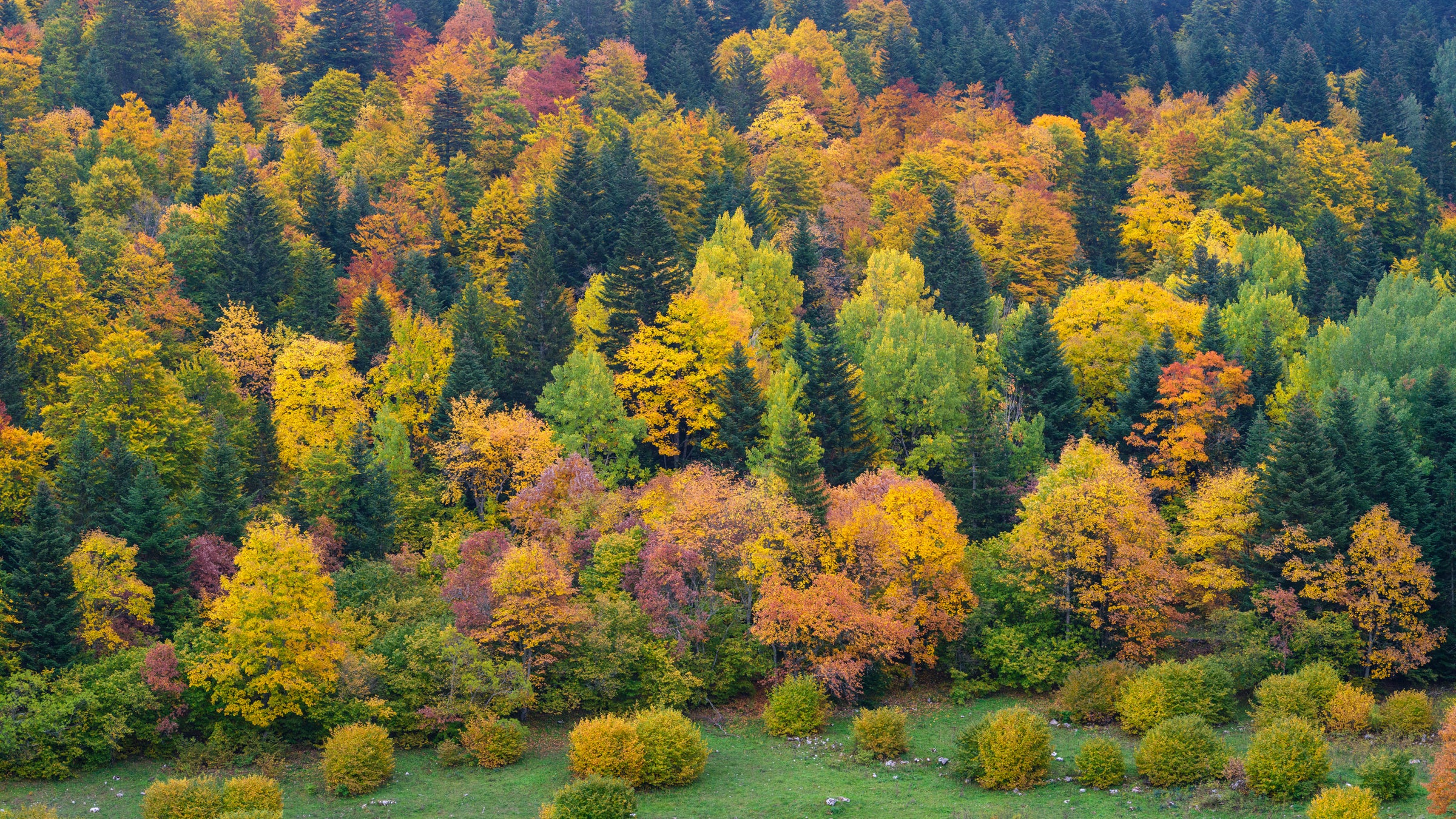 Photos de l'automne dans le Vercors