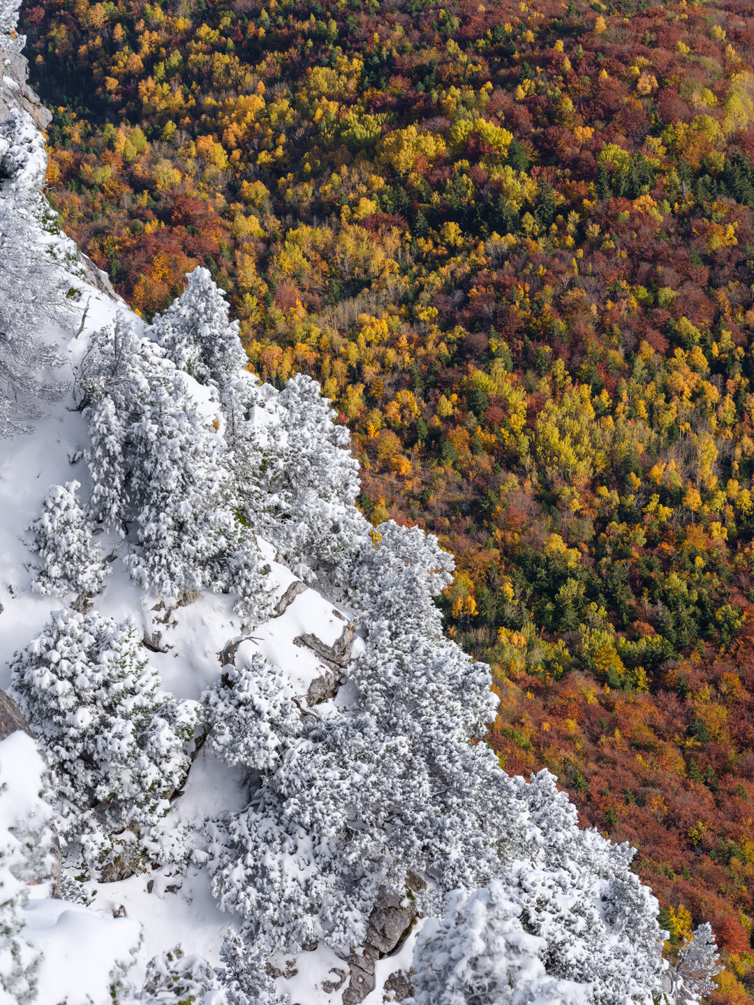 Hiver Vs Automne...