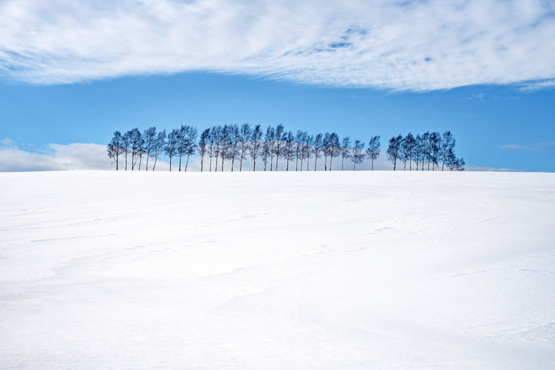 Les arbres bleus