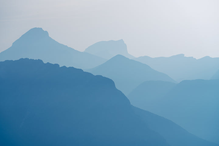 Chartreuse bleue