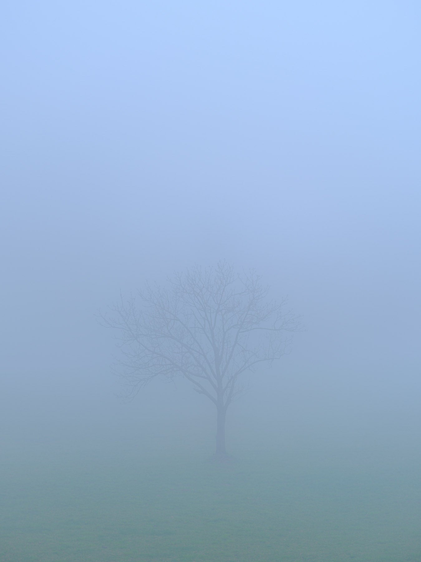 Le début du monde