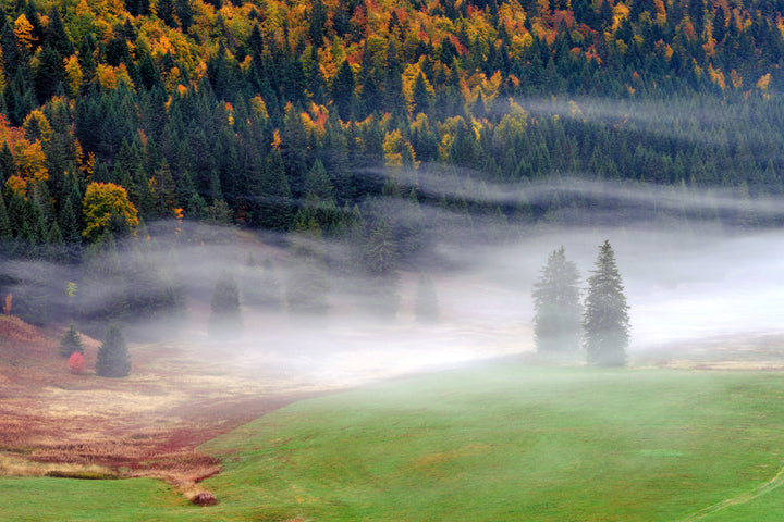 Herbouilly dans la brume