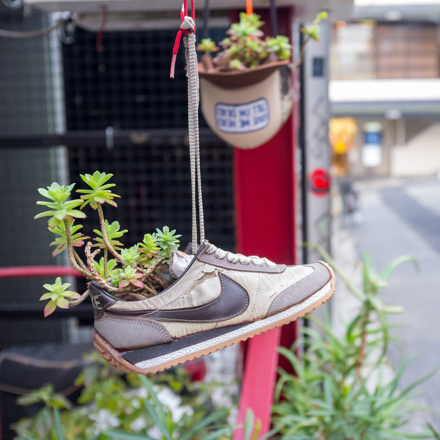 Tokyo Shibuya Nike photo