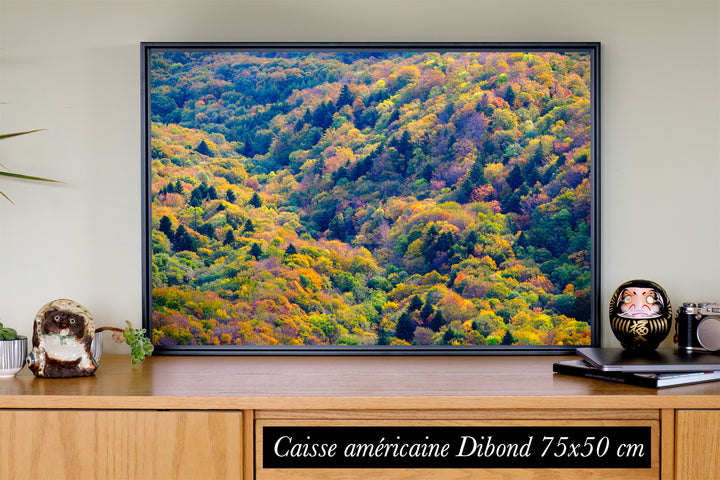 La forêt (II)
