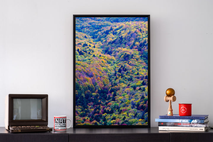 La forêt